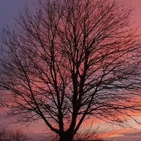 Apartmán Tina Und Guenni Aerzen